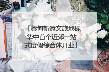 蔡甸新添文旅地标 华中首个近郊一站式度假综合体开业