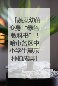蔬菜幼苗变身“绿色教科书”！哈市各区中小学生展示种植成果