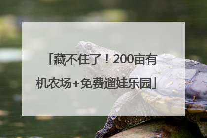 藏不住了！200亩有机农场+免费遛娃乐园