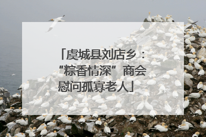 虞城县刘店乡：“粽香情深”商会慰问孤寡老人