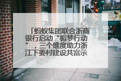 蚂蚁集团联合浙商银行启动“栀梦行动”，三个维度助力浙江下姜村建设共富示范区示范点