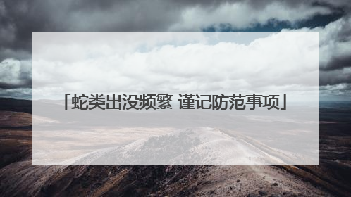蛇类出没频繁 谨记防范事项