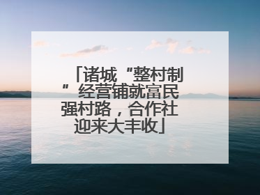 诸城“整村制”经营铺就富民强村路，合作社迎来大丰收
