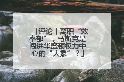评论丨离职“效率部”，马斯克是闯进华盛顿权力中心的“大象”？