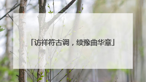 访祥符古调，续豫曲华章