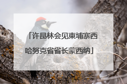 许昆林会见柬埔寨西哈努克省省长蒙西纳