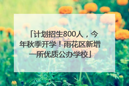 计划招生800人，今年秋季开学！雨花区新增一所优质公办学校