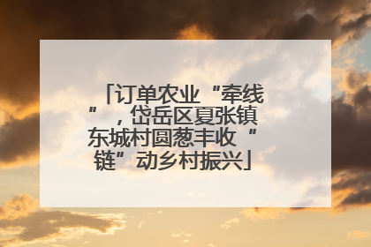 订单农业“牵线”，岱岳区夏张镇东城村圆葱丰收“链”动乡村振兴