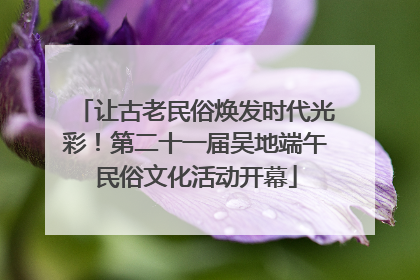 让古老民俗焕发时代光彩！第二十一届吴地端午民俗文化活动开幕