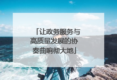 让政务服务与高质量发展的协奏曲响彻大地
