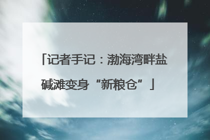 记者手记：渤海湾畔盐碱滩变身“新粮仓”