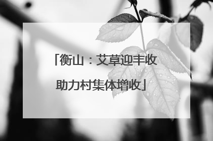 衡山：艾草迎丰收 助力村集体增收
