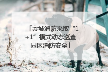 襄城消防采取“1+1”模式动态巡查园区消防安全