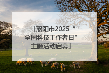 襄阳市2025“全国科技工作者日”主题活动启幕