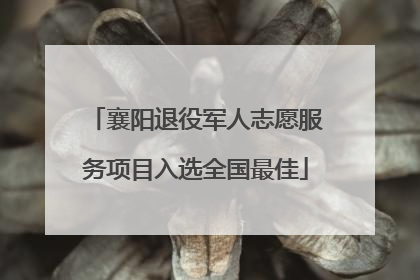 襄阳退役军人志愿服务项目入选全国最佳