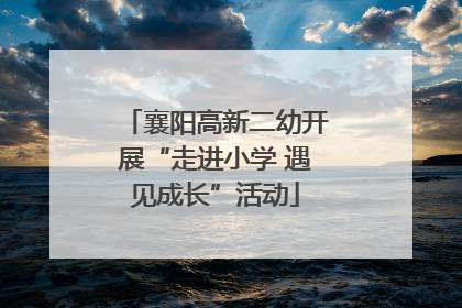 襄阳高新二幼开展“走进小学 遇见成长”活动