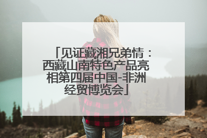 见证藏湘兄弟情：西藏山南特色产品亮相第四届中国-非洲经贸博览会