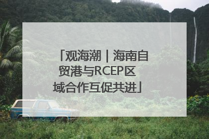 观海潮｜海南自贸港与RCEP区域合作互促共进