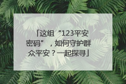 这组“123平安密码”，如何守护群众平安？一起探寻