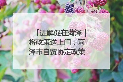 进解促在菏泽｜将政策送上门，菏泽市自贸协定政策专题宣讲会召开