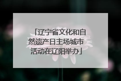 辽宁省文化和自然遗产日主场城市活动在辽阳举办