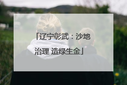 辽宁彰武：沙地治理 造绿生金