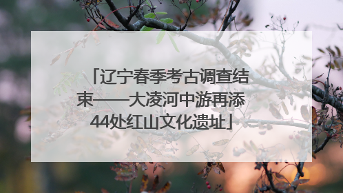 辽宁春季考古调查结束——大凌河中游再添44处红山文化遗址