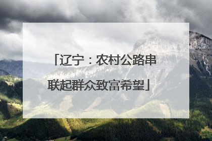 辽宁：农村公路串联起群众致富希望