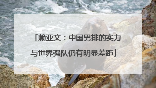 赖亚文：中国男排的实力与世界强队仍有明显差距