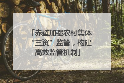 赤壁加强农村集体“三资”监管，构建高效监管机制