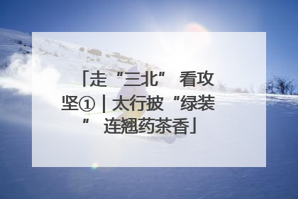 走“三北” 看攻坚①｜太行披“绿装” 连翘药茶香