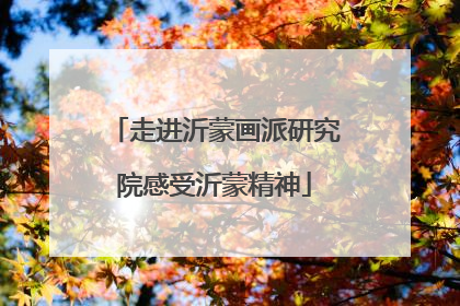 走进沂蒙画派研究院感受沂蒙精神