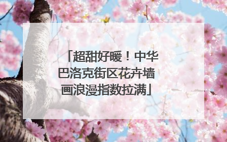 超甜好暖！中华巴洛克街区花卉墙画浪漫指数拉满