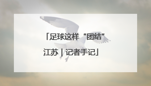 足球这样“团结”江苏｜记者手记