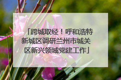 跨城取经！呼和浩特新城区调研兰州市城关区新兴领域党建工作