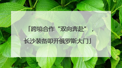 跨境合作“双向奔赴”，长沙装备叩开俄罗斯大门