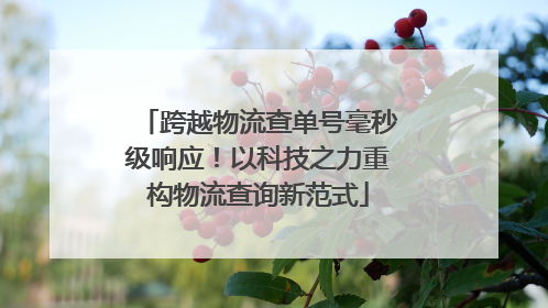 跨越物流查单号毫秒级响应！以科技之力重构物流查询新范式