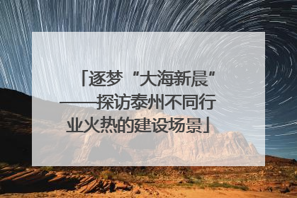逐梦“大海新晨”——探访泰州不同行业火热的建设场景