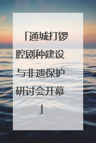 通城打锣腔剧种建设与非遗保护研讨会开幕