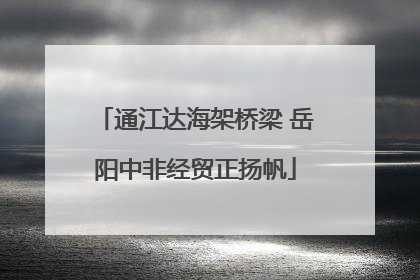 通江达海架桥梁 岳阳中非经贸正扬帆