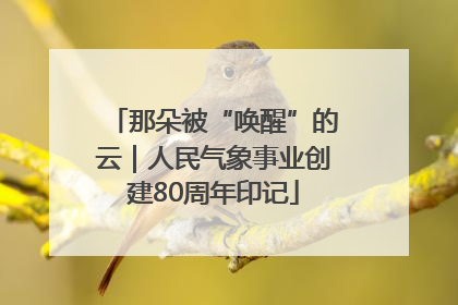 那朵被“唤醒”的云｜人民气象事业创建80周年印记
