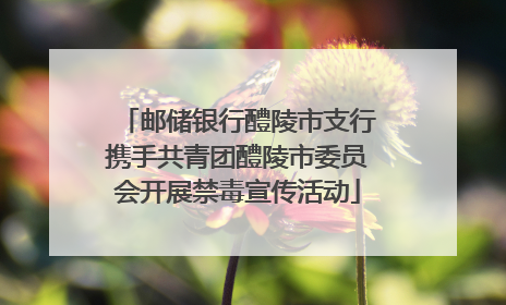 邮储银行醴陵市支行携手共青团醴陵市委员会开展禁毒宣传活动