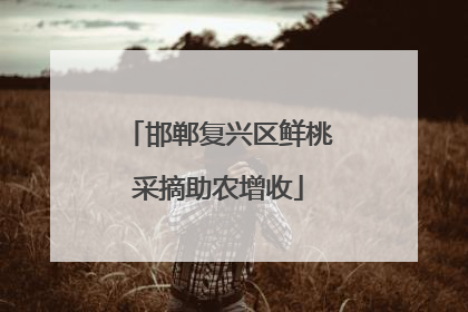 邯郸复兴区鲜桃采摘助农增收