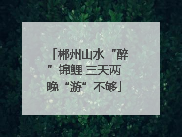 郴州山水“醉”锦鲤 三天两晚“游”不够