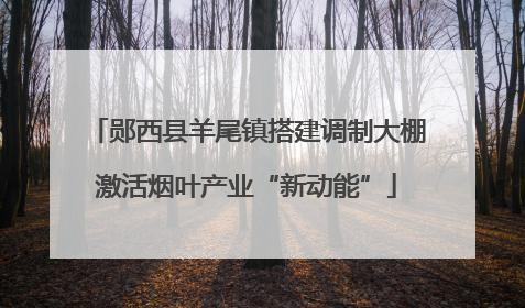 郧西县羊尾镇搭建调制大棚激活烟叶产业“新动能”