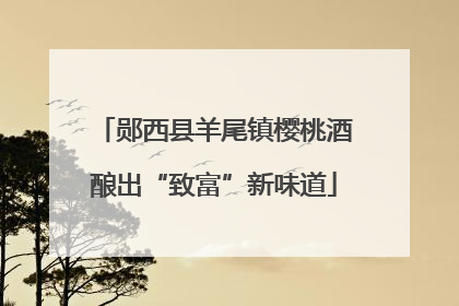 郧西县羊尾镇樱桃酒酿出“致富”新味道
