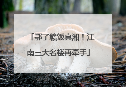 鄂了赣饭真湘！江南三大名楼再牵手