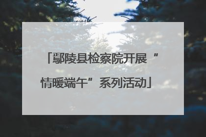 鄢陵县检察院开展“情暖端午”系列活动