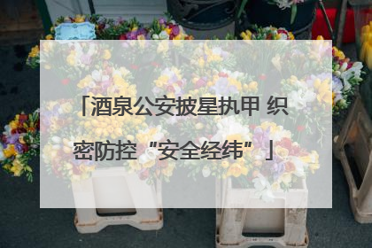 酒泉公安披星执甲 织密防控“安全经纬”
