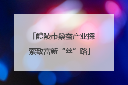 醴陵市桑蚕产业探索致富新“丝”路